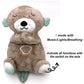 Kalmerende Koala Knuffel